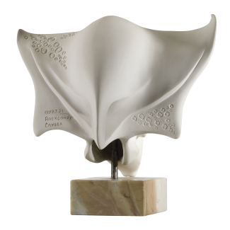 A Young Man’s Portrait